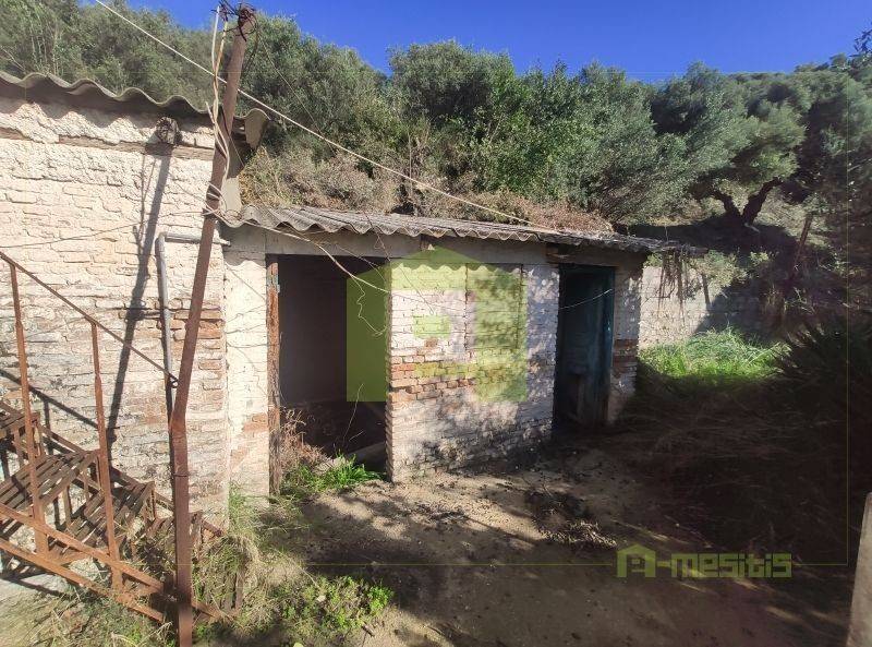 Ύπαρξη ανθρώπου