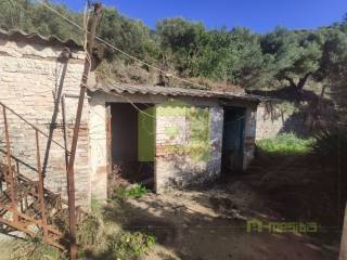 Ύπαρξη ανθρώπου