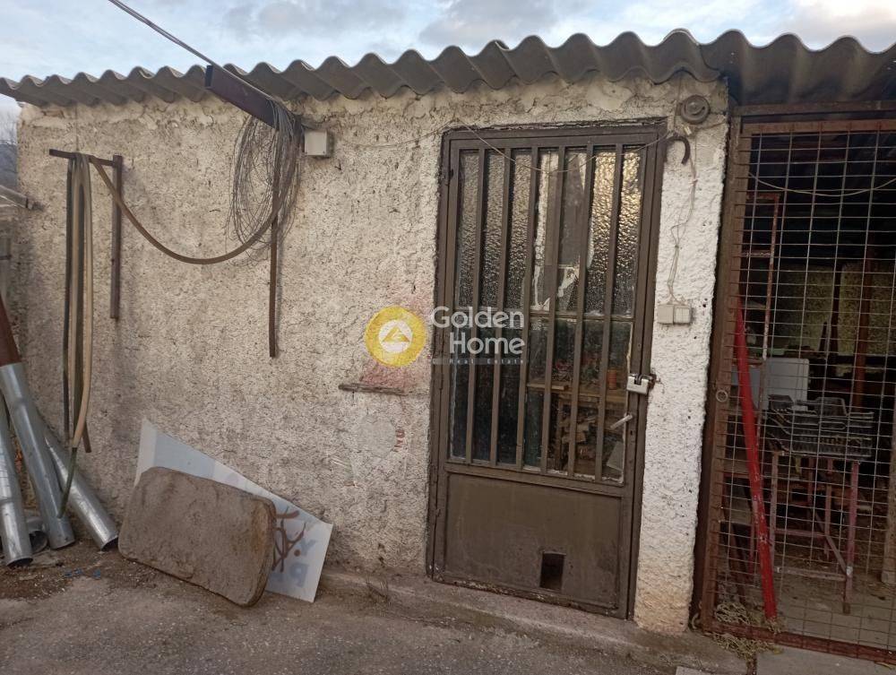 Ανελκυστήρας