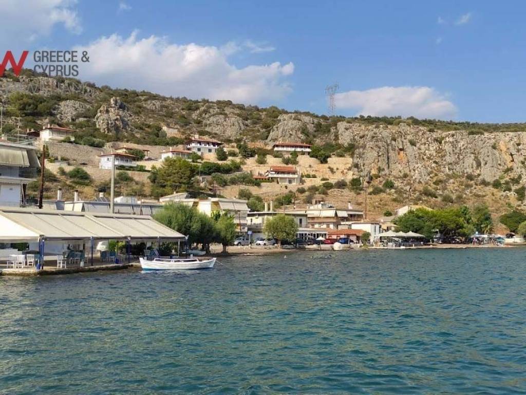 Εξωτερικοι χώροι