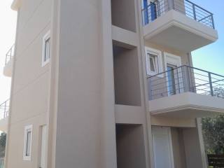 PLAGIA &amp; PISO OPSE