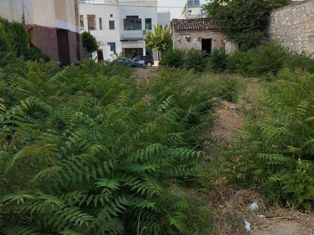 Εξωτερικοι χώροι