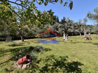 Ύπαρξη ανθρώπου