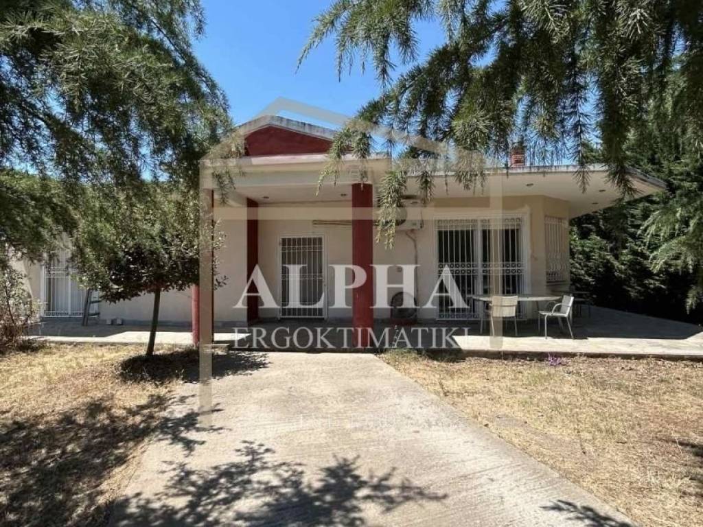 Εξωτερικός χώρος