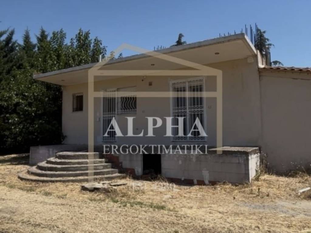 Εξωτερικός χώρος