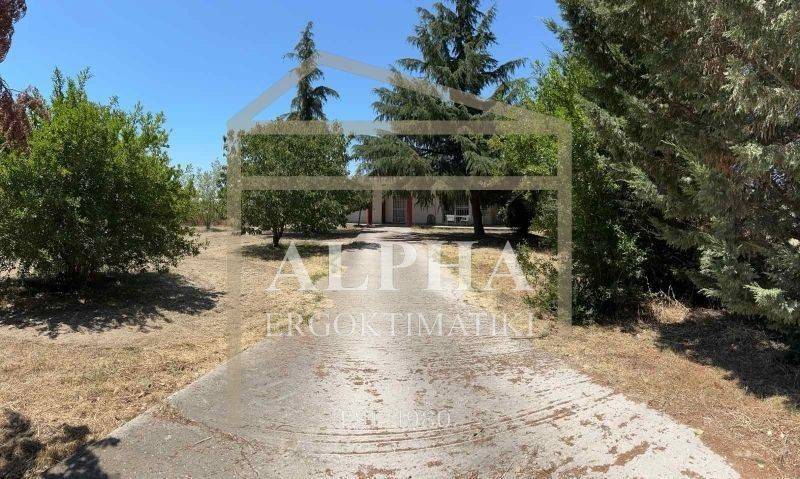 Εξωτερικός χώρος