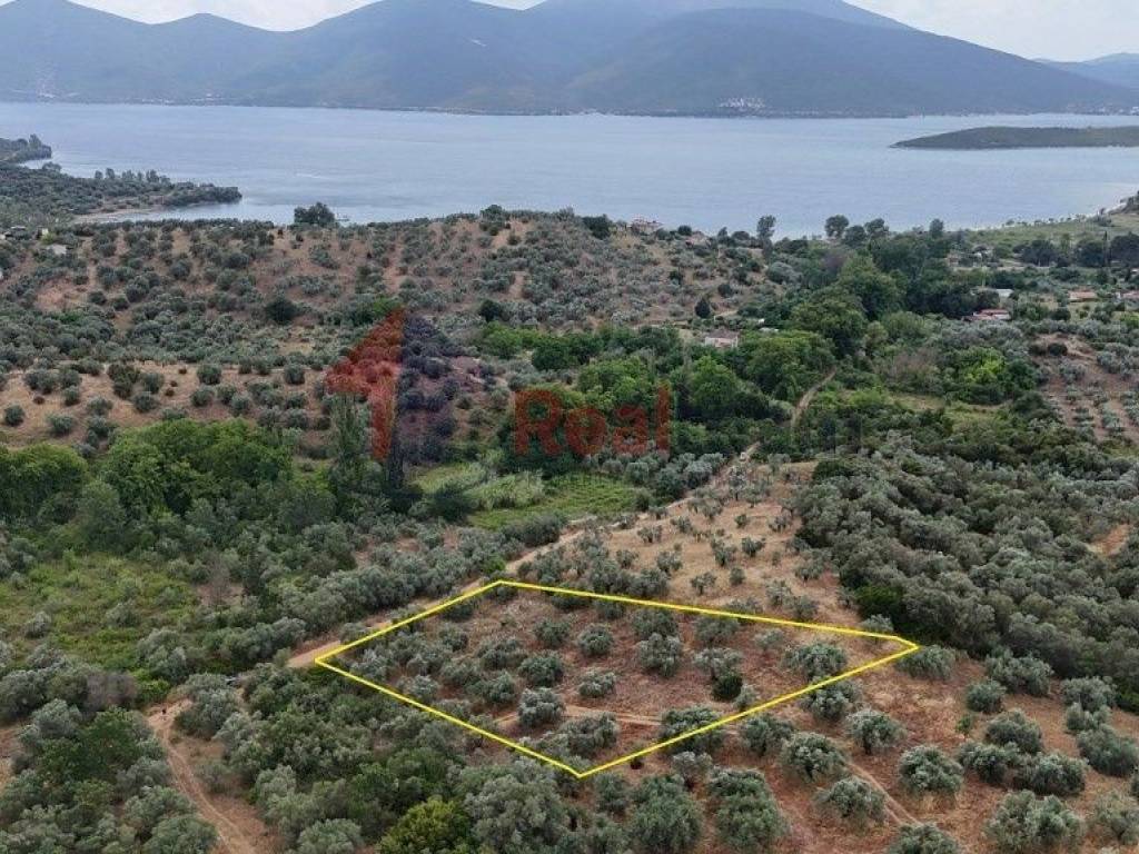 Εξωτερικοι χώροι