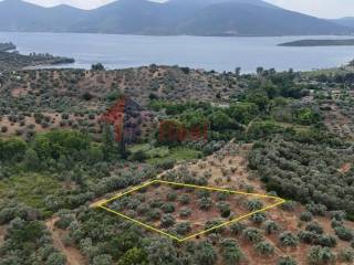 Εξωτερικοι χώροι