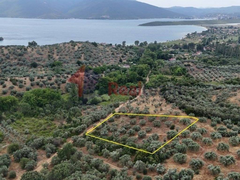 Εξωτερικοι χώροι