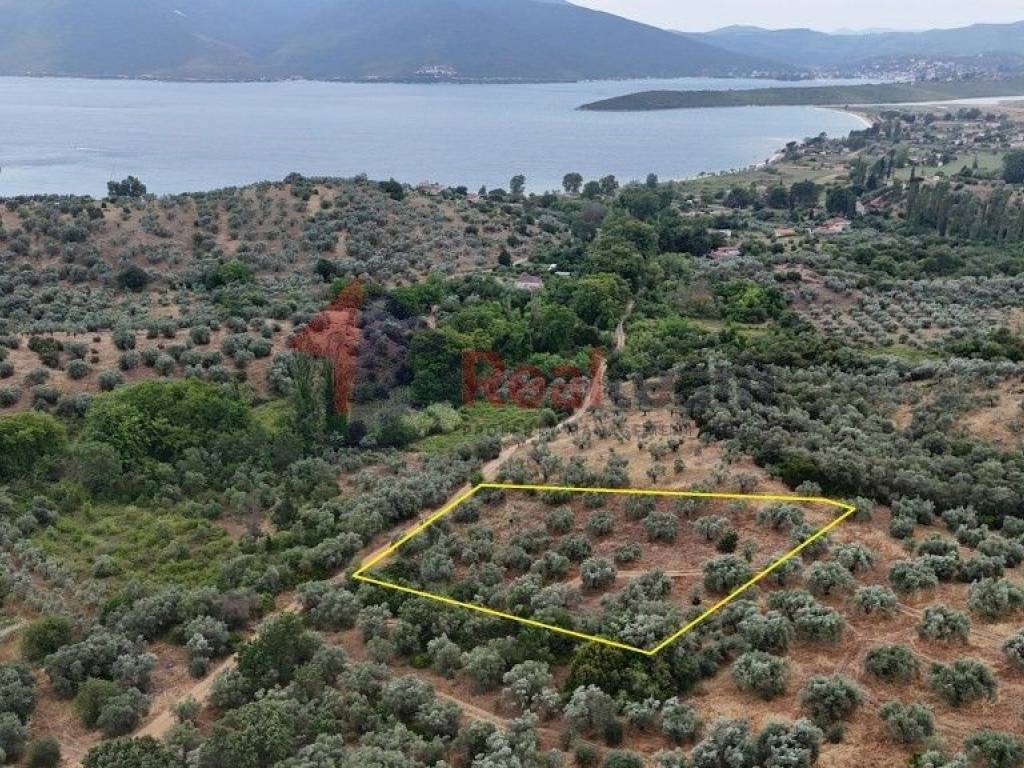 Εξωτερικοι χώροι