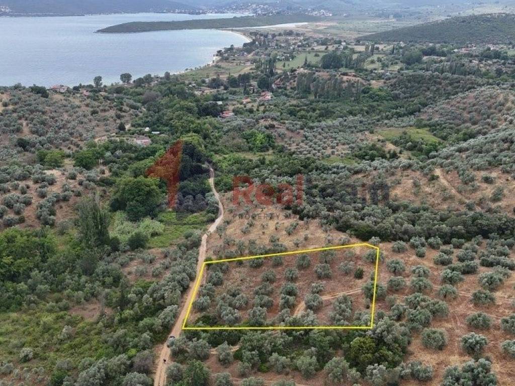 Εξωτερικοι χώροι