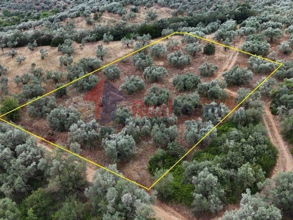 Εξωτερικοι χώροι