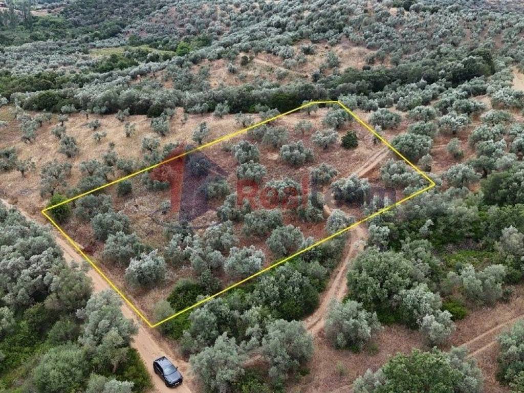 Εξωτερικοι χώροι