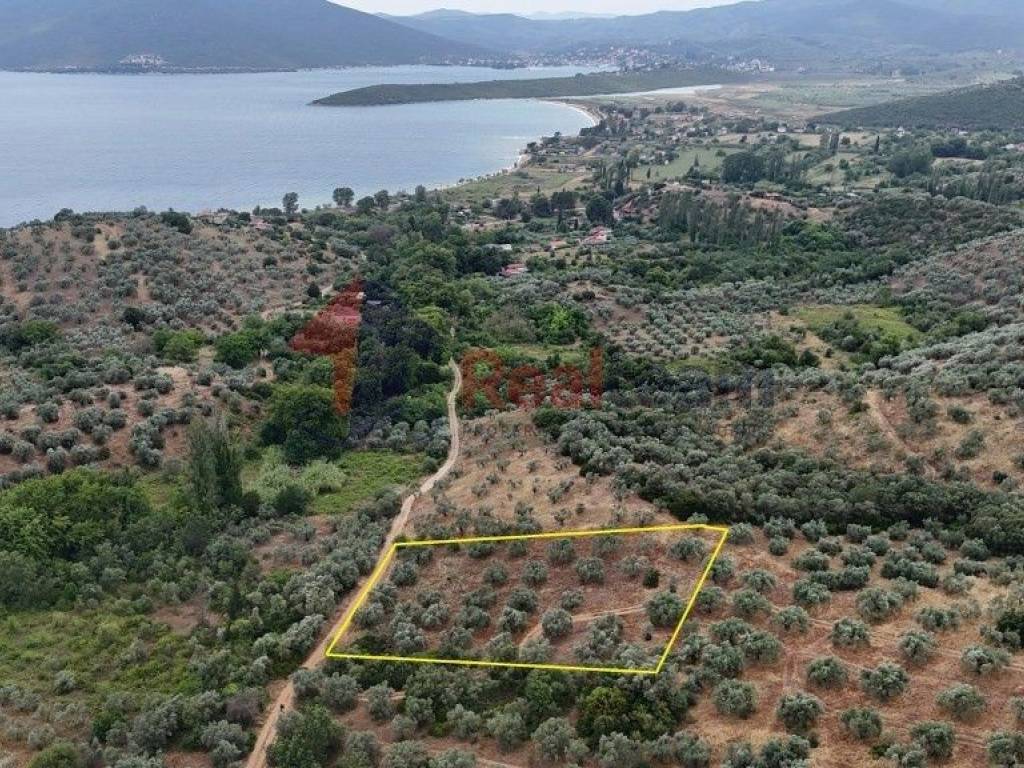 Εξωτερικοι χώροι