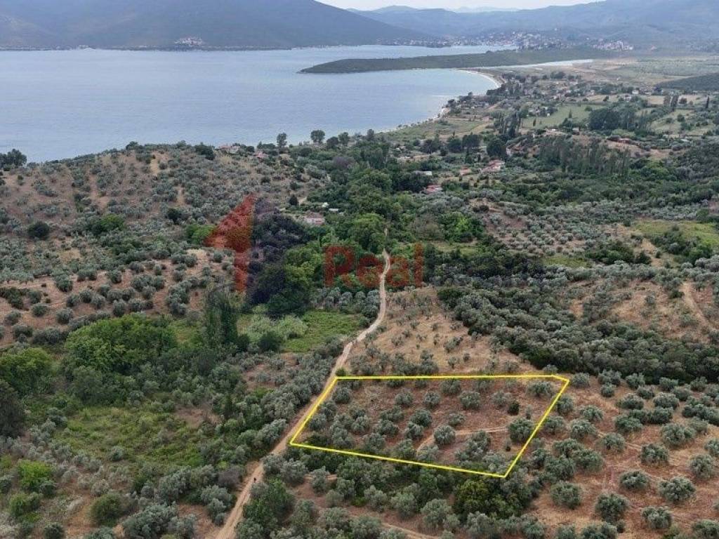 Εξωτερικοι χώροι