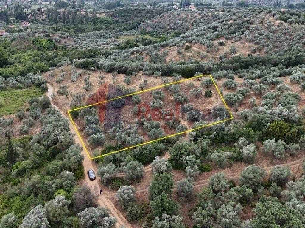 Εξωτερικοι χώροι