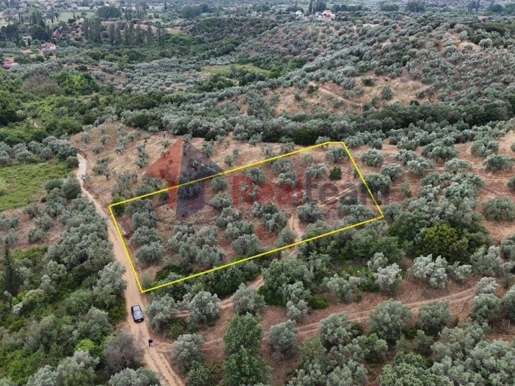 Εξωτερικοι χώροι