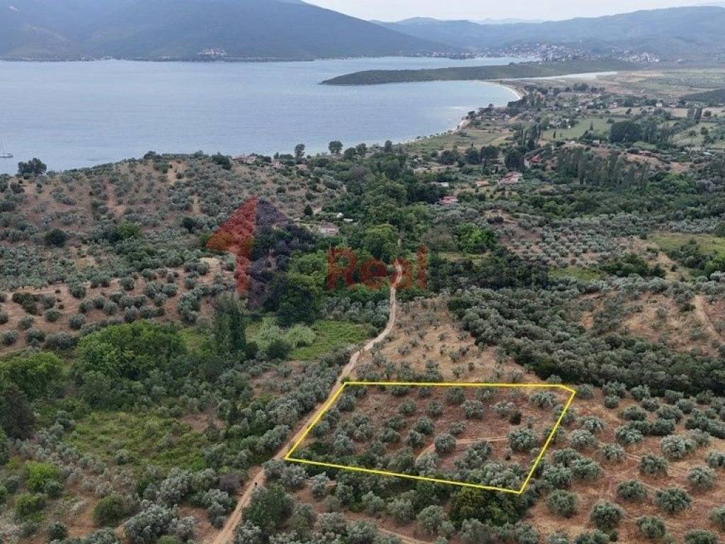 Εξωτερικοι χώροι