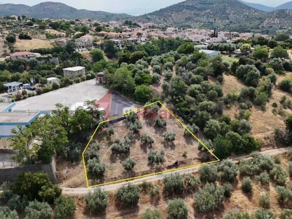 Εξωτερικοι χώροι