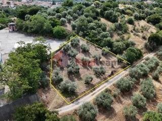 Εξωτερικοι χώροι