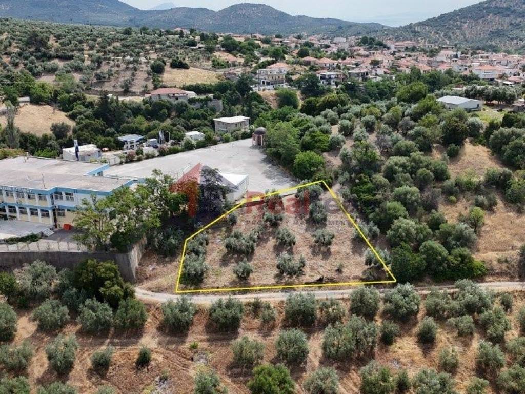 Εξωτερικοι χώροι