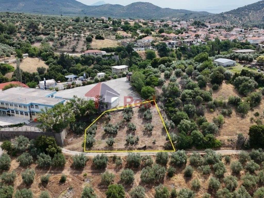 Εξωτερικοι χώροι