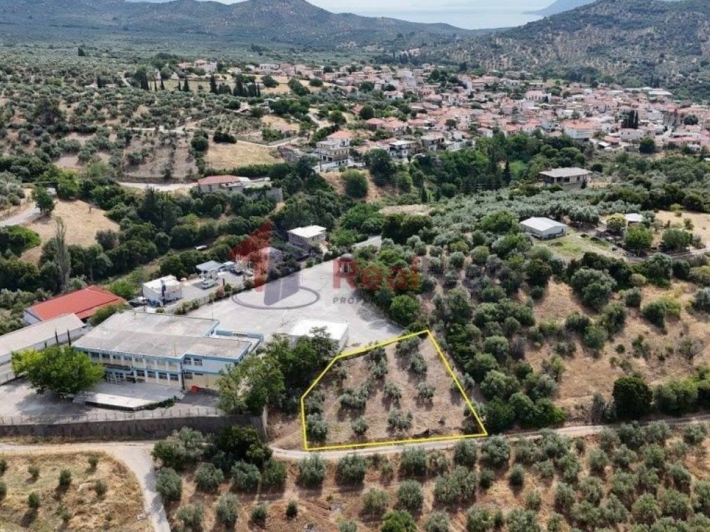 Εξωτερικοι χώροι