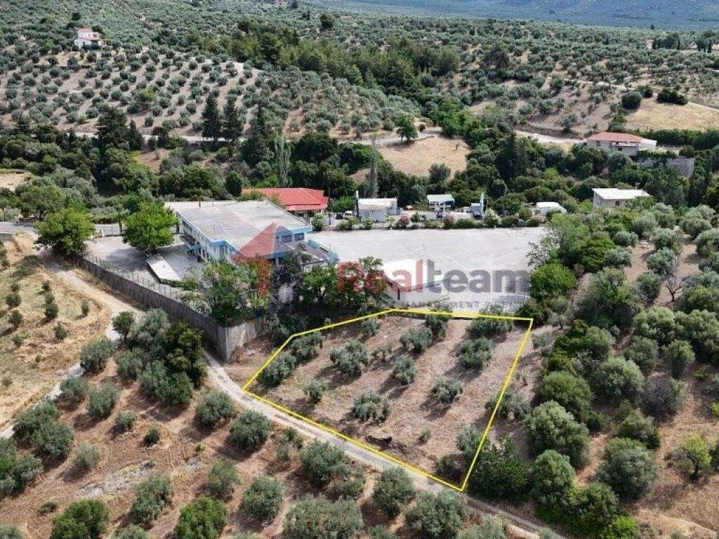 Εξωτερικοι χώροι