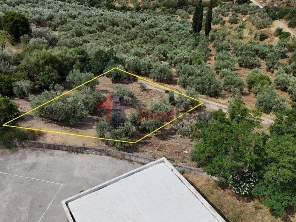 Εξωτερικοι χώροι