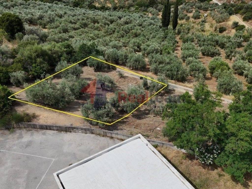 Εξωτερικοι χώροι