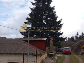 apopse dromoy pros ten oikia ,diakrinetai o idioktetos elatos