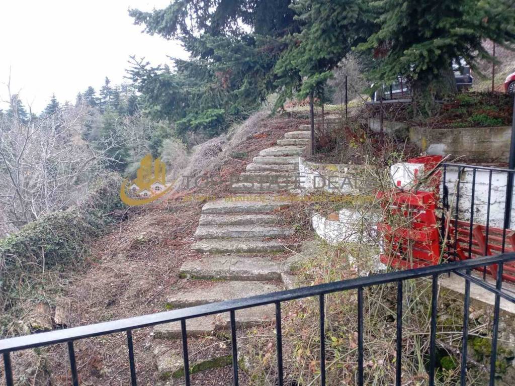 skalopatia apo ton elato - parkingk  pros ten oikia