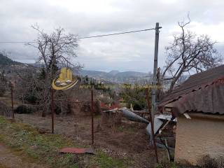 oikopedo kai thea apo ayto