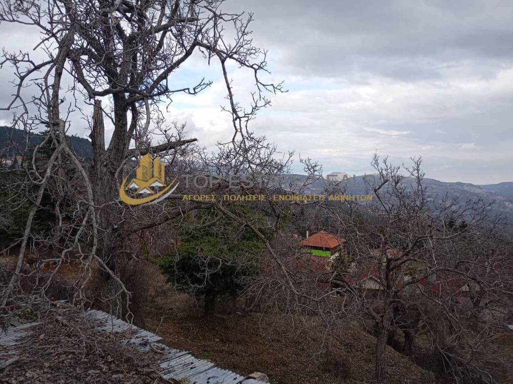 oikopedo 2400 t.m. mazi me ten oikia