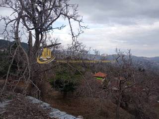 oikopedo 2400 t.m. mazi me ten oikia