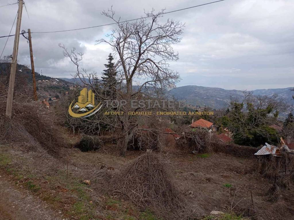 oikopedikos choros  me megale domese anamesa se xenones