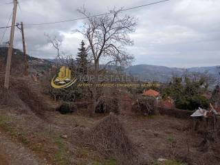 oikopedikos choros me megale domese anamesa se xenones