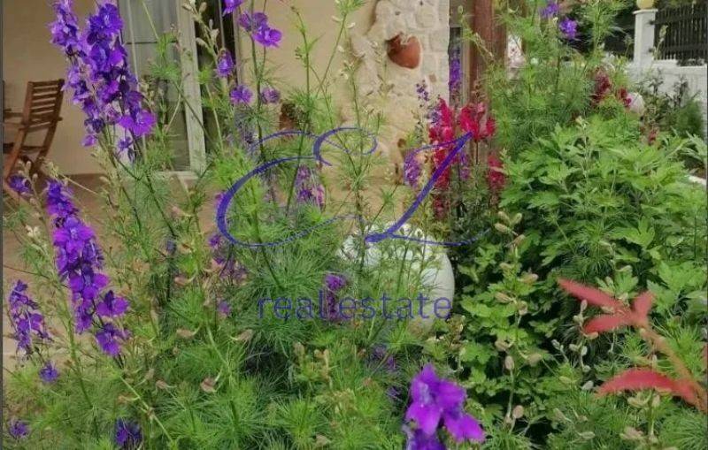 Ύπαρξη ανθρώπου