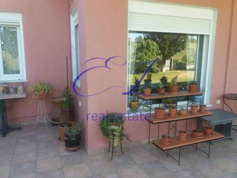 Ύπαρξη ανθρώπου