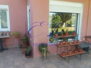 Ύπαρξη ανθρώπου