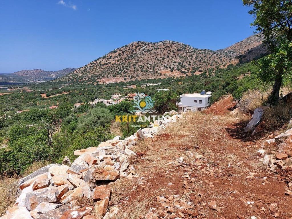 Δρόμος εντός του οικοπέδου