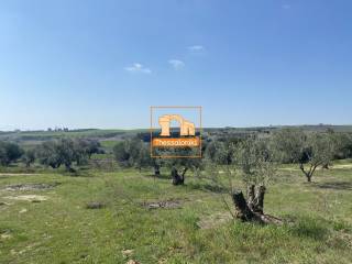 Μεσημέρι, Οικόπεδο, 2.500 τ.μ.