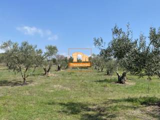 Μεσημέρι, Οικόπεδο, 2.500 τ.μ.