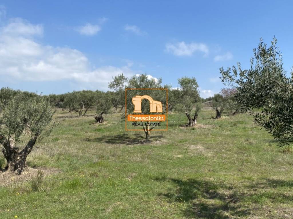 Μεσημέρι, Οικόπεδο, 2.500 τ.μ.