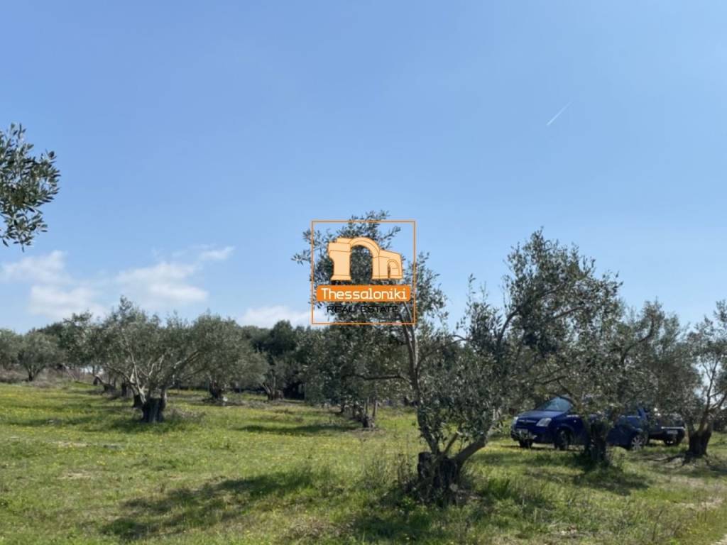 Μεσημέρι, Οικόπεδο, 2.500 τ.μ.