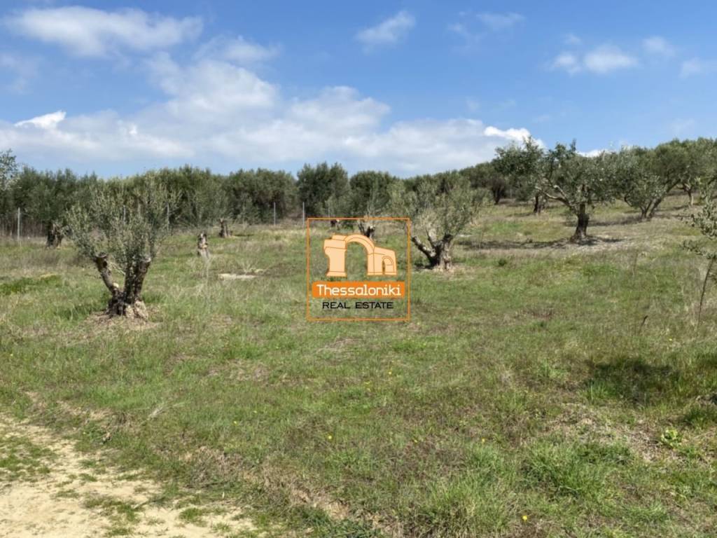 Μεσημέρι, Οικόπεδο, 2.500 τ.μ.