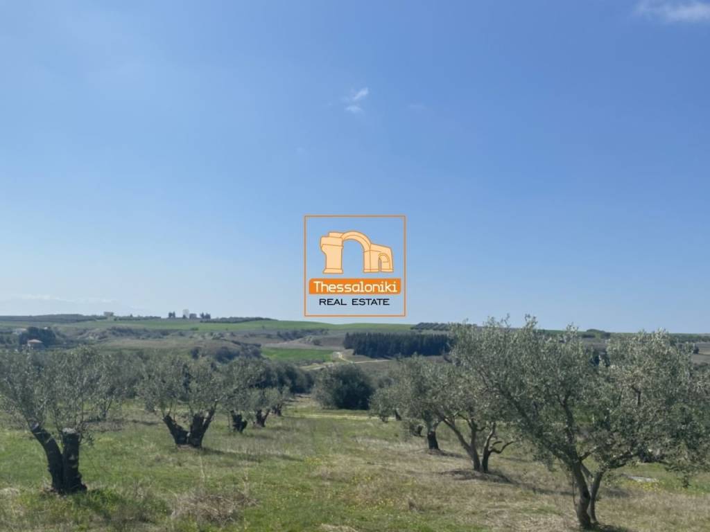 Μεσημέρι, Οικόπεδο, 2.500 τ.μ.