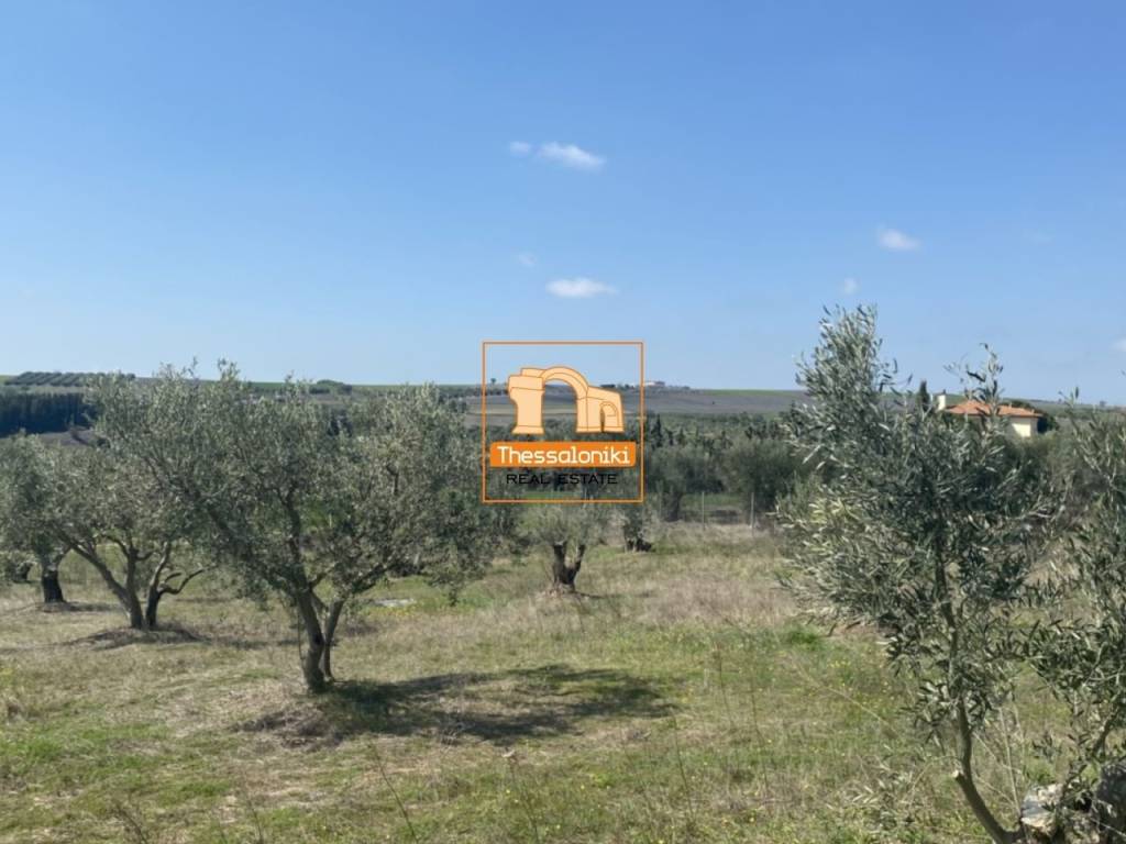 Μεσημέρι, Οικόπεδο, 2.500 τ.μ.