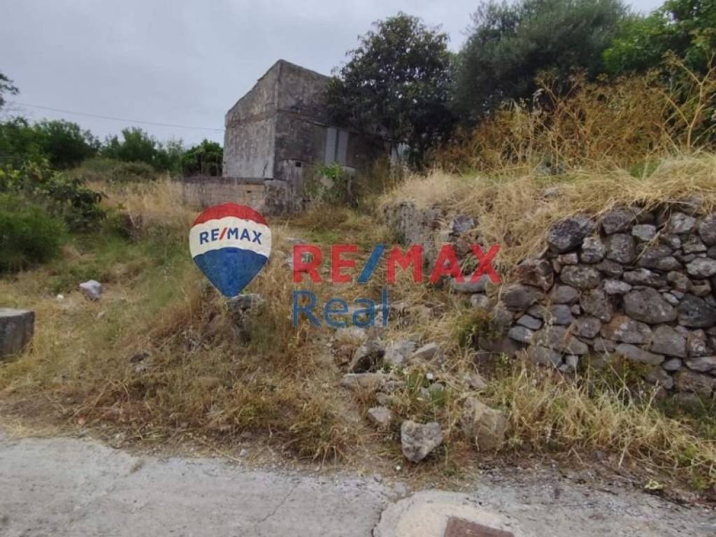 Ύπαρξη ανθρώπου