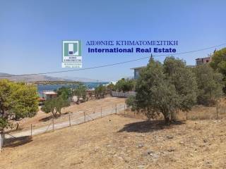 Η ΘΕΑ ΑΠΟ ΤΟ ΟΙΚΟΠΕΔΟ